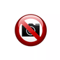 Rückfahrwarnsignal 12/24V 10W 98DB Universell